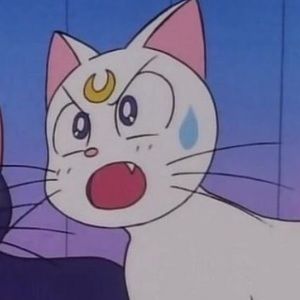 Meet your Posher, Adron